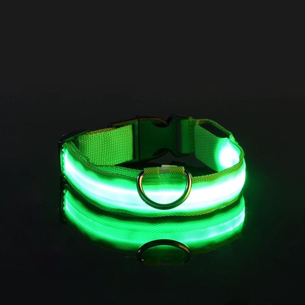 NightGlow LED Safety Dog Collar - Ultra-Bright USB Rechargeable