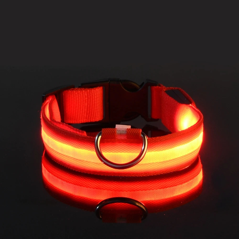 NightGlow LED Safety Dog Collar - Ultra-Bright USB Rechargeable