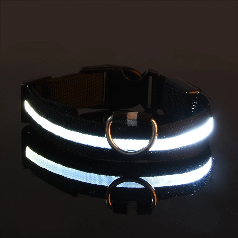 NightGlow LED Safety Dog Collar - Ultra-Bright USB Rechargeable