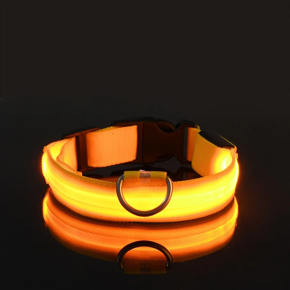 NightGlow LED Safety Dog Collar - Ultra-Bright USB Rechargeable