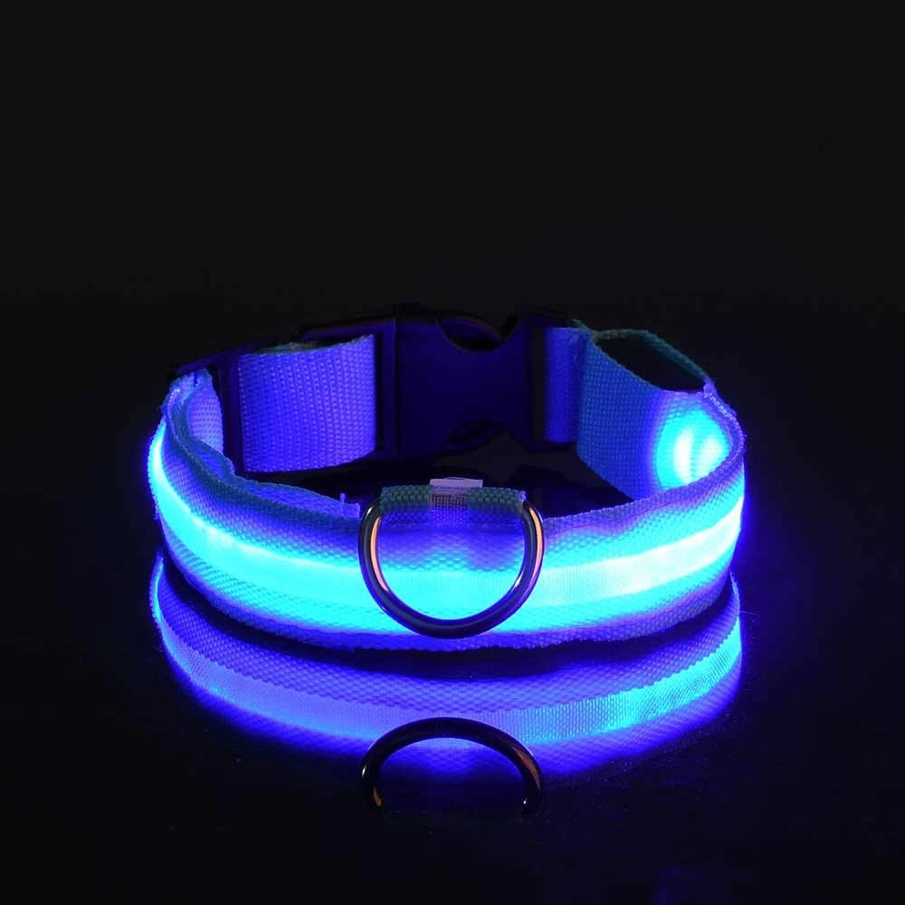 NightGlow LED Safety Dog Collar - Ultra-Bright USB Rechargeable