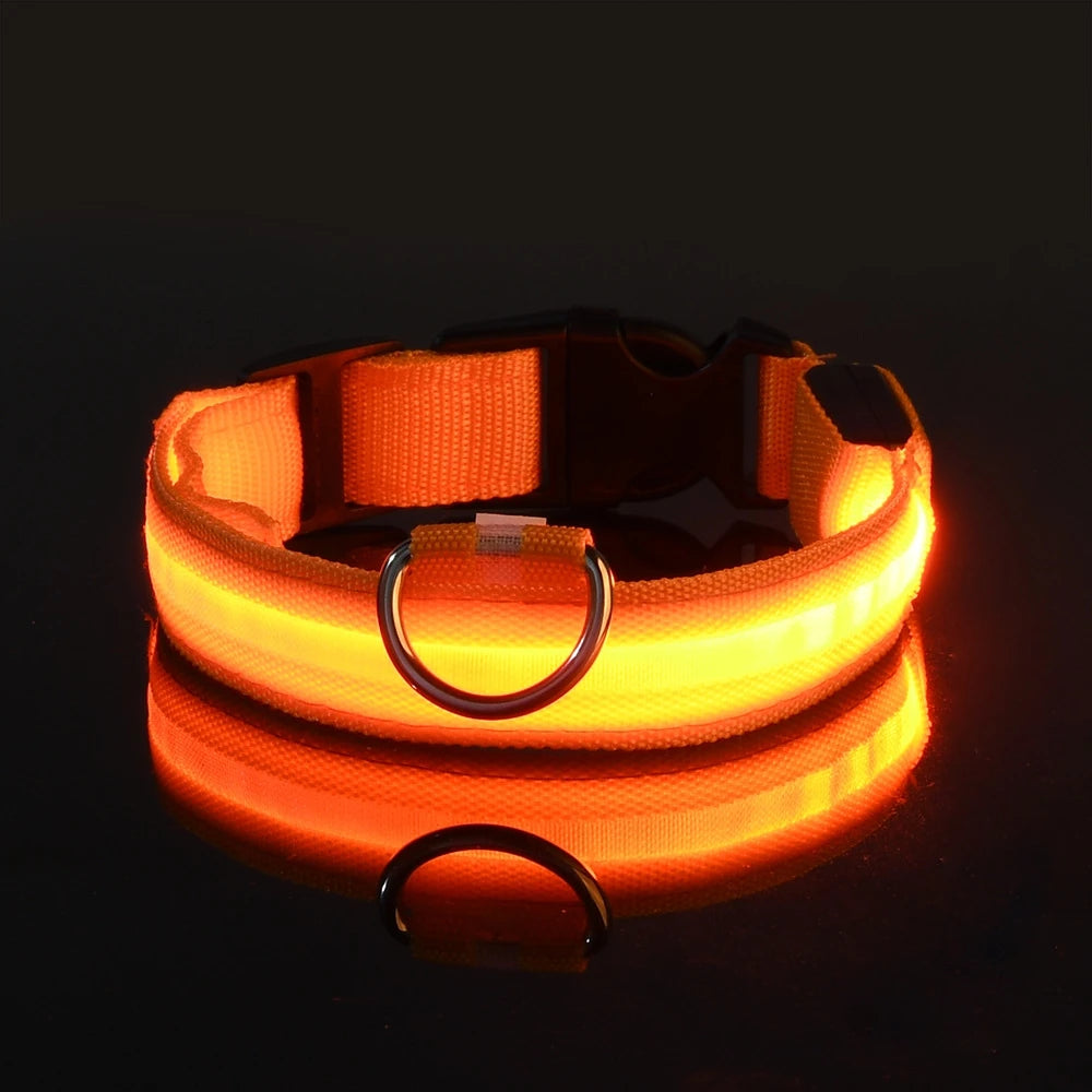 NightGlow LED Safety Dog Collar - Ultra-Bright USB Rechargeable