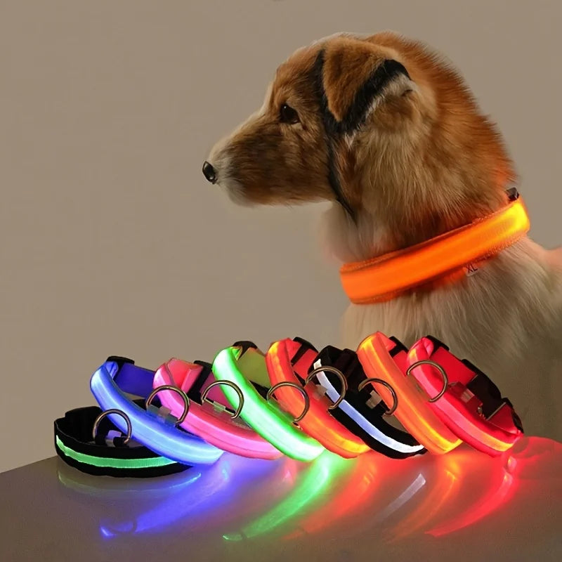 NightGlow LED Safety Dog Collar - Ultra-Bright USB Rechargeable