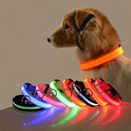NightGlow LED Safety Dog Collar - Ultra-Bright USB Rechargeable