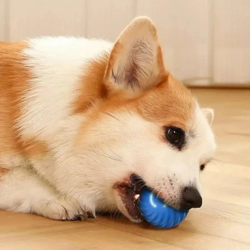 Smart Roll™ Automatic Boredom-Busting Toy Ball for Dogs