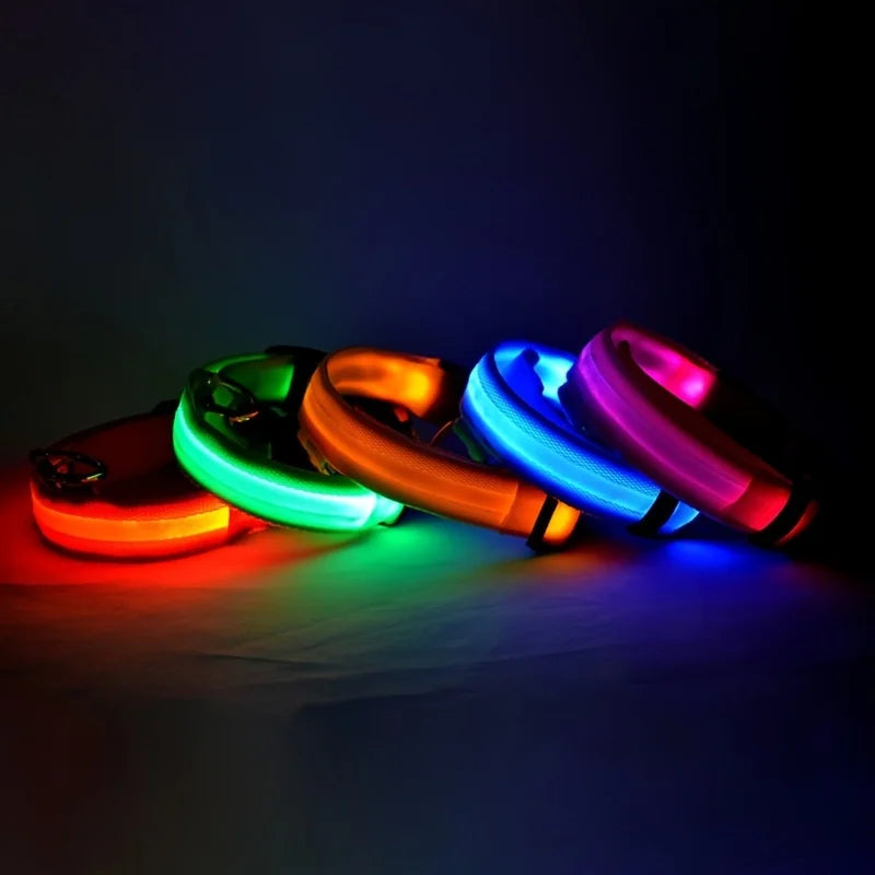 NightGlow LED Safety Dog Collar - Ultra-Bright USB Rechargeable