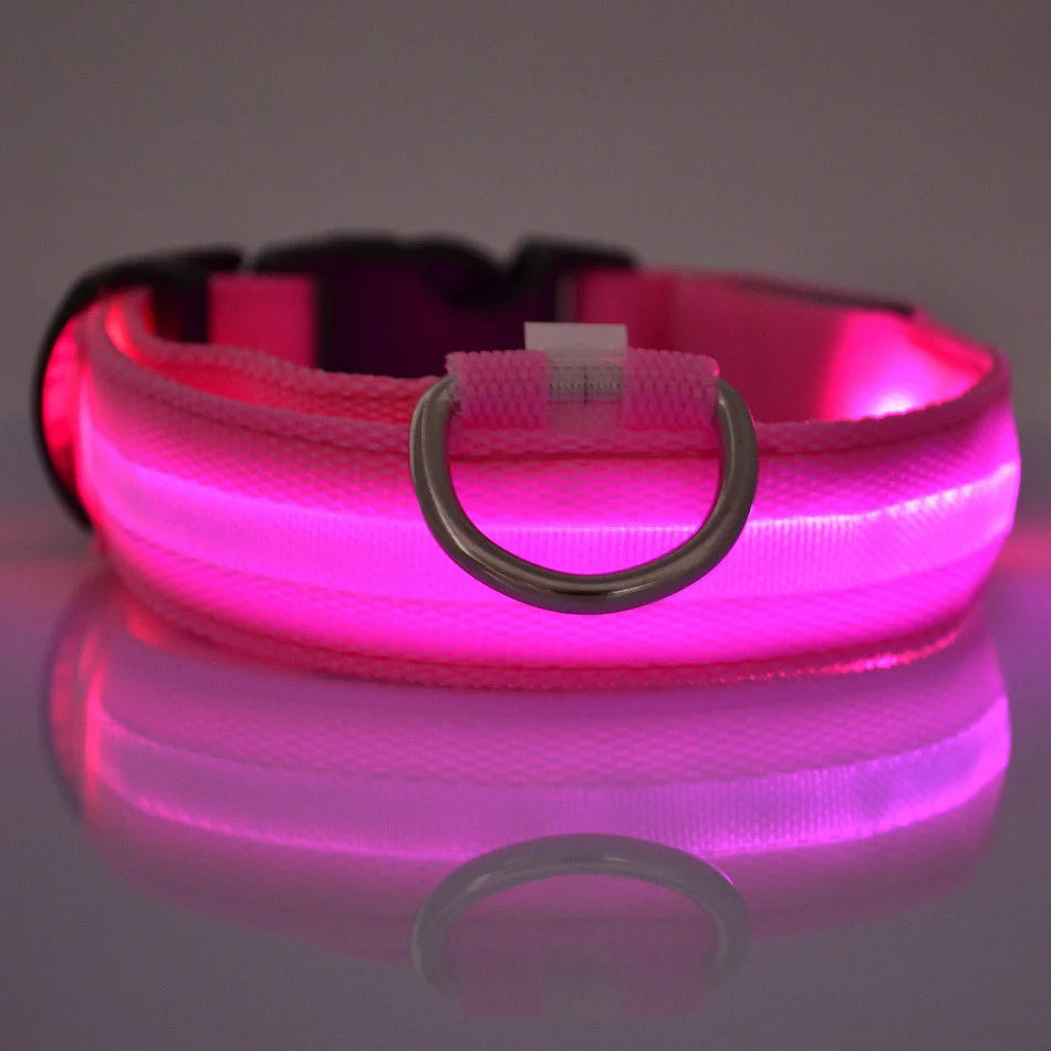 NightGlow LED Safety Dog Collar - Ultra-Bright USB Rechargeable