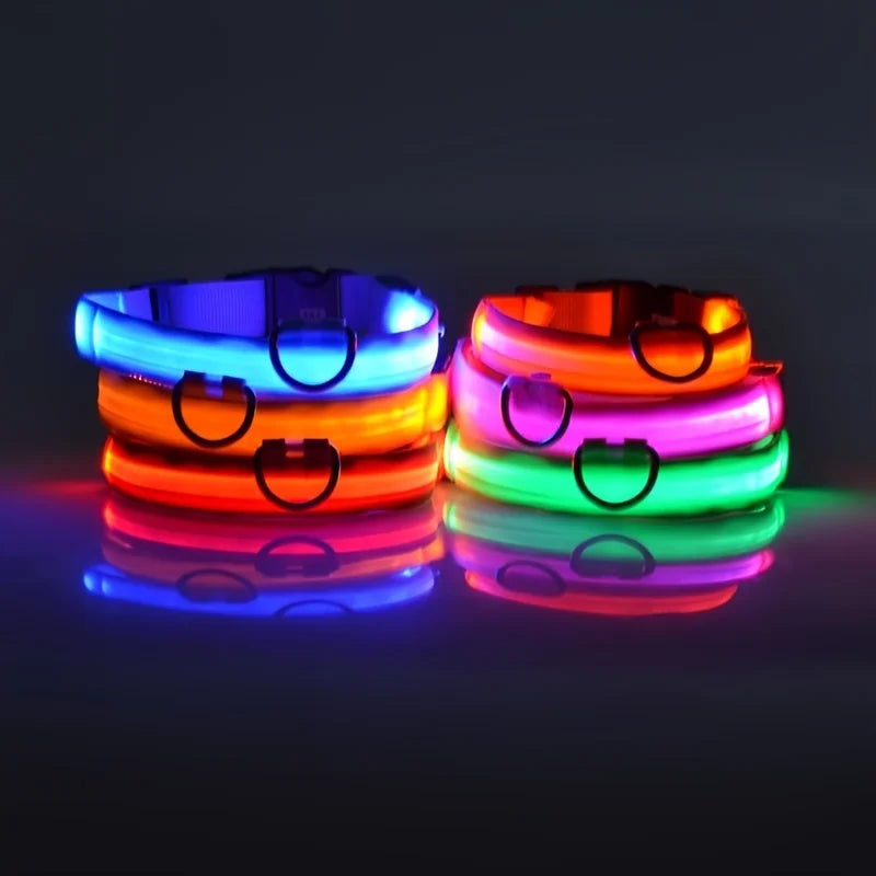 NightGlow LED Safety Dog Collar - Ultra-Bright USB Rechargeable