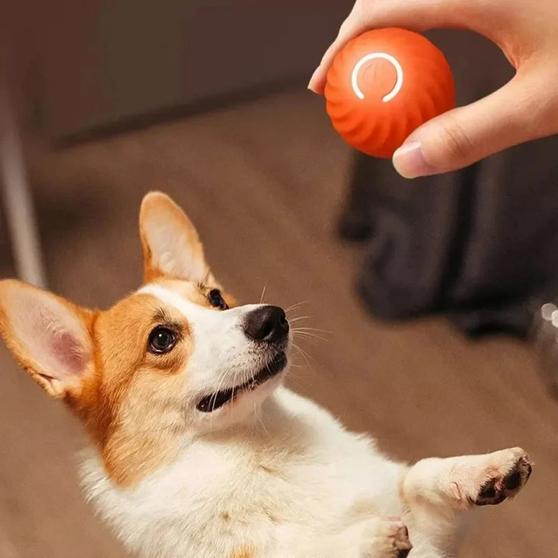 Smart Roll™ Automatic Boredom-Busting Toy Ball for Dogs